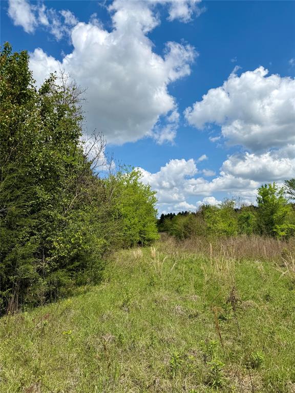0 Colworth Place Keithville, LA 71047 - Photo 12 of 14 a view of lake