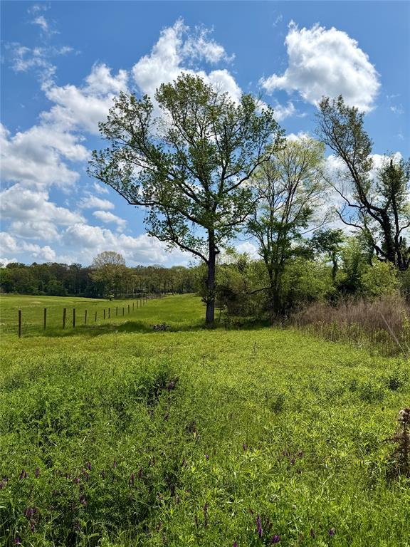 0 Colworth Place Keithville, LA 71047 - Photo 13 of 14 a view of a green field