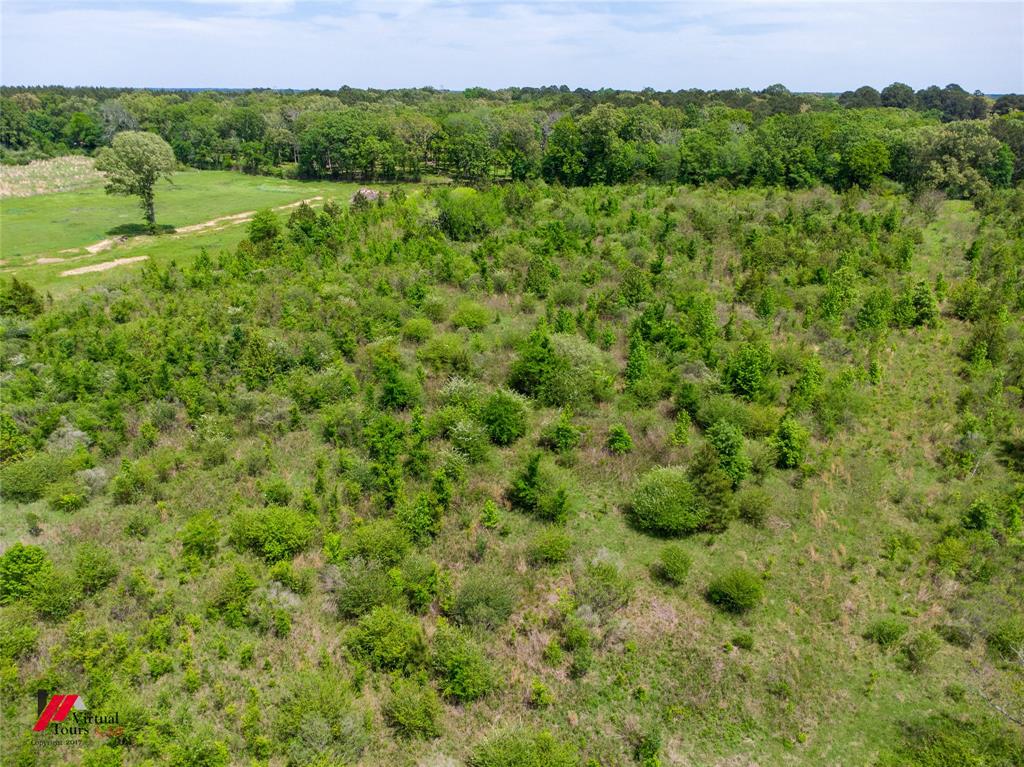 0 Colworth Place Keithville, LA 71047 - Photo 9 of 14 a view of a lush green forest with a house in the background