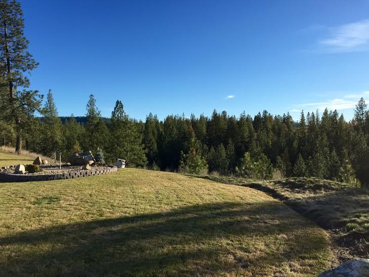 51600 Stone Ridge Trail East Ford, WA 99013 - Photo 19 of 20 Gallery Image 19