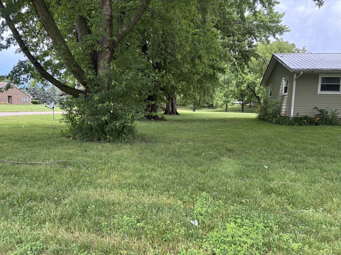 301 South 2nd Street Walnut, IL 61376 - Photo 4 of 21
