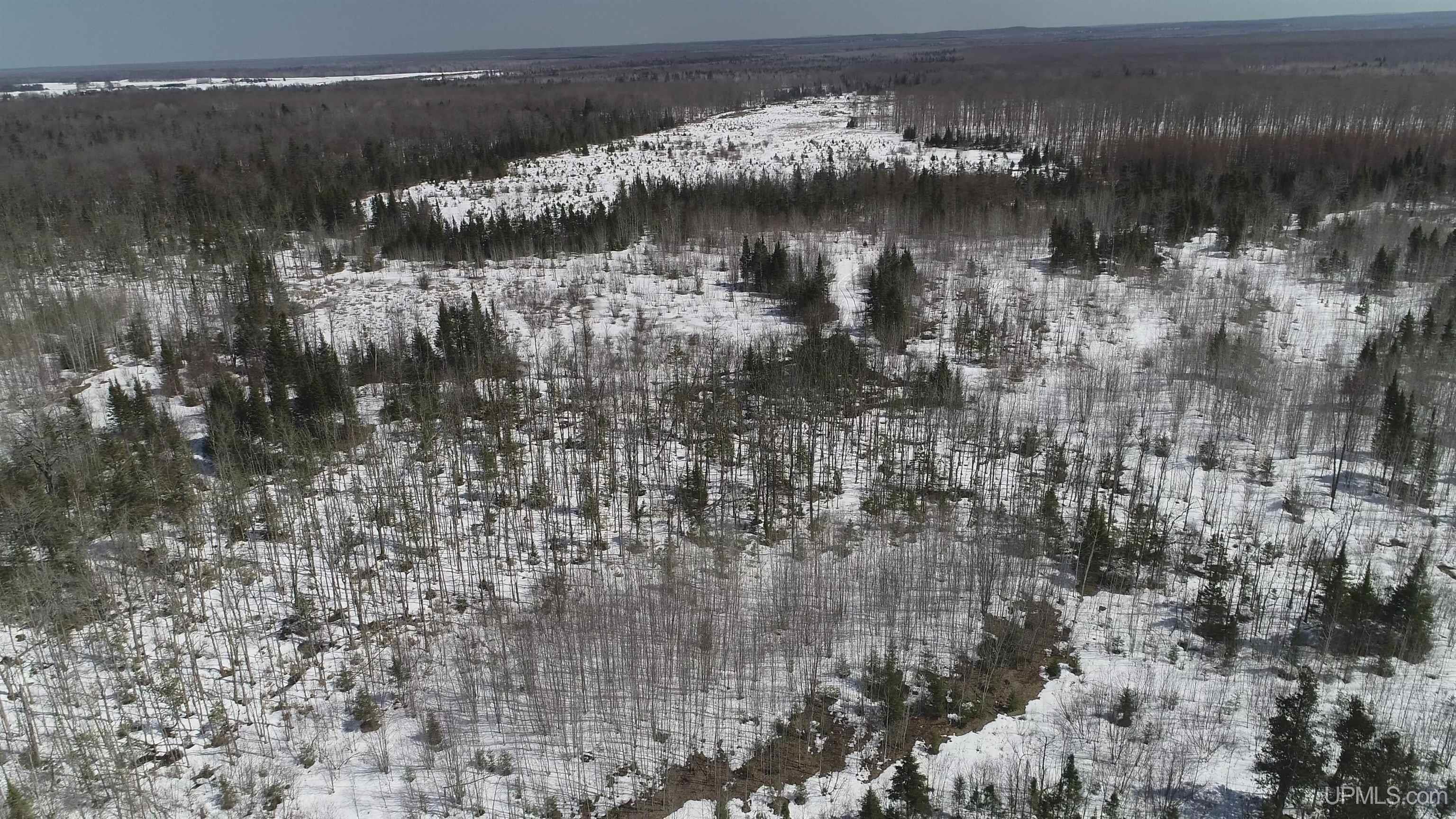 V25 Rd Trenary Mi 49891 Road Rapid River, MI 49878 - Photo 18 of 28