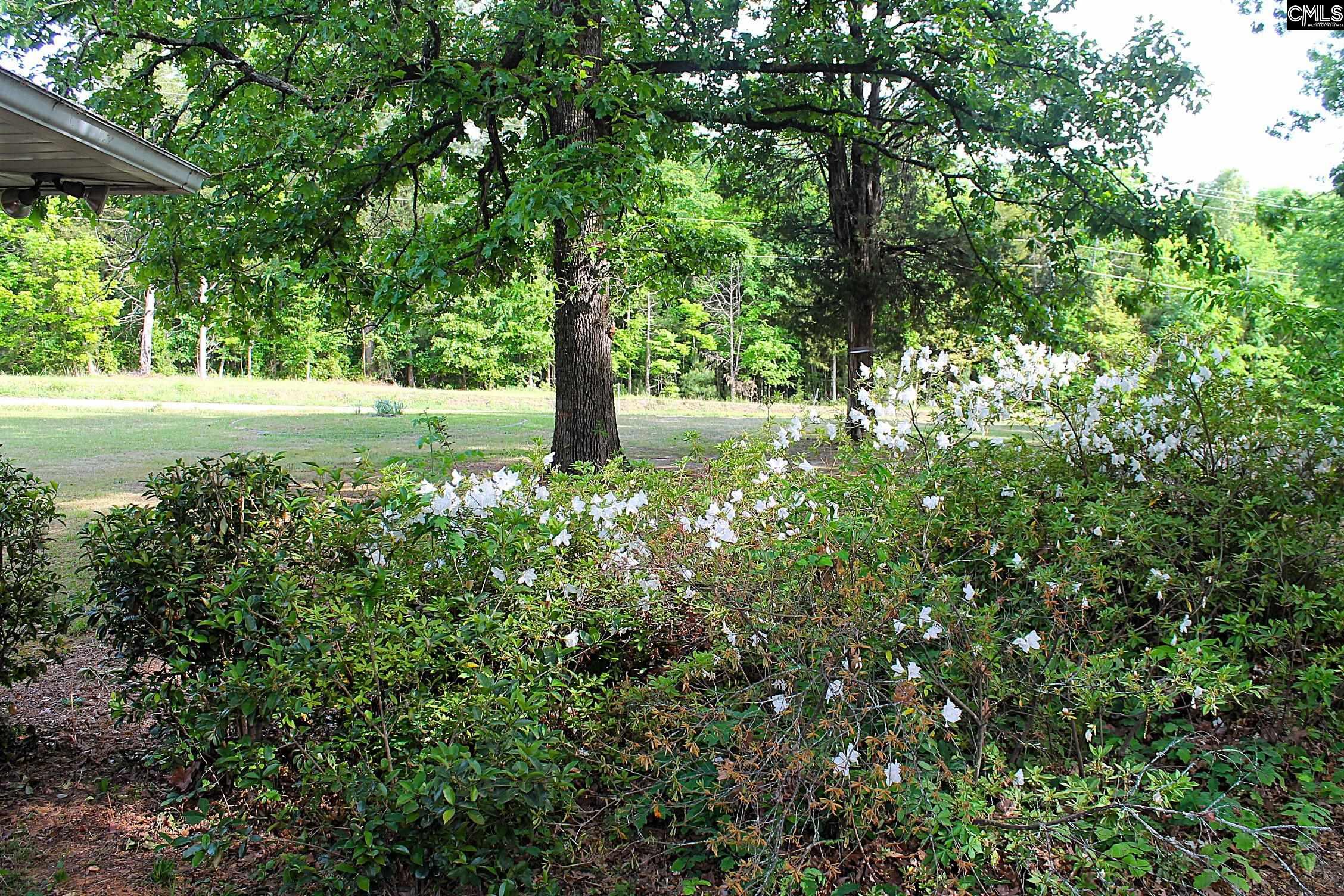 1208 Marina Road Irmo, SC 29063 - Photo 43 of 45
