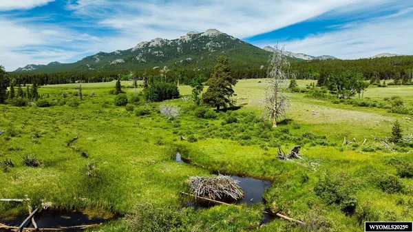 $5,750,000 | Hazelton Road, Buffalo, WY 82834