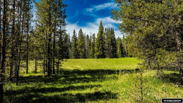 $5,750,000 | Hazelton Road, Buffalo, WY 82834