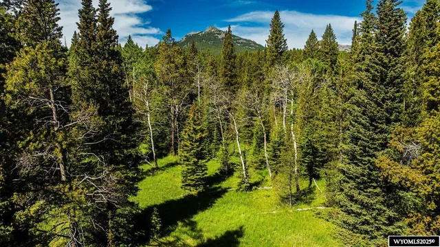 $5,750,000 | Hazelton Road, Buffalo, WY 82834
