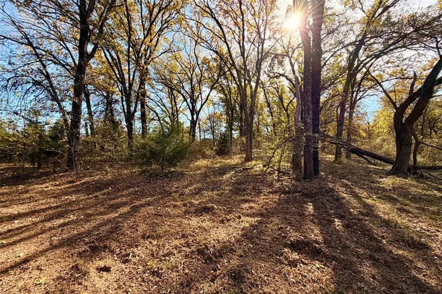 a view of outdoor space with trees
