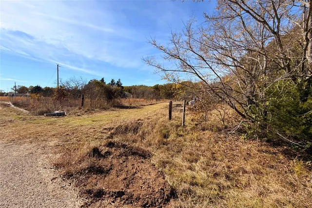 a view of a dry yard
