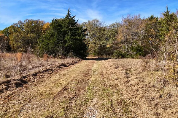 a view of a yard covered in snow