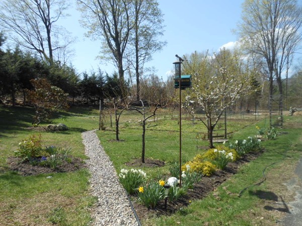 84 Russellville Road Southampton, MA 01073 - Photo 23 of 30