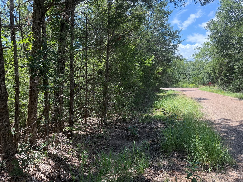 304 Overlook Loop Somerville, TX 77879 - Photo 10 of 17