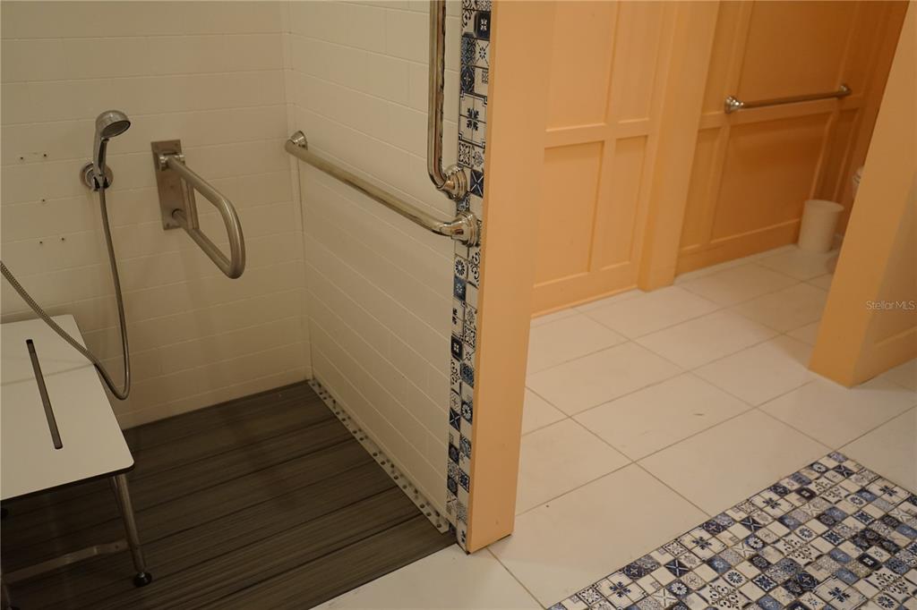 201 Sunset Crest Court Apollo Beach, FL 33572 - Photo 41 of 81 a bathroom with a shower