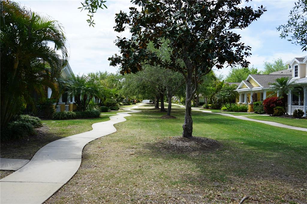 201 Sunset Crest Court Apollo Beach, FL 33572 - Photo 62 of 81 a view of a park with tree s