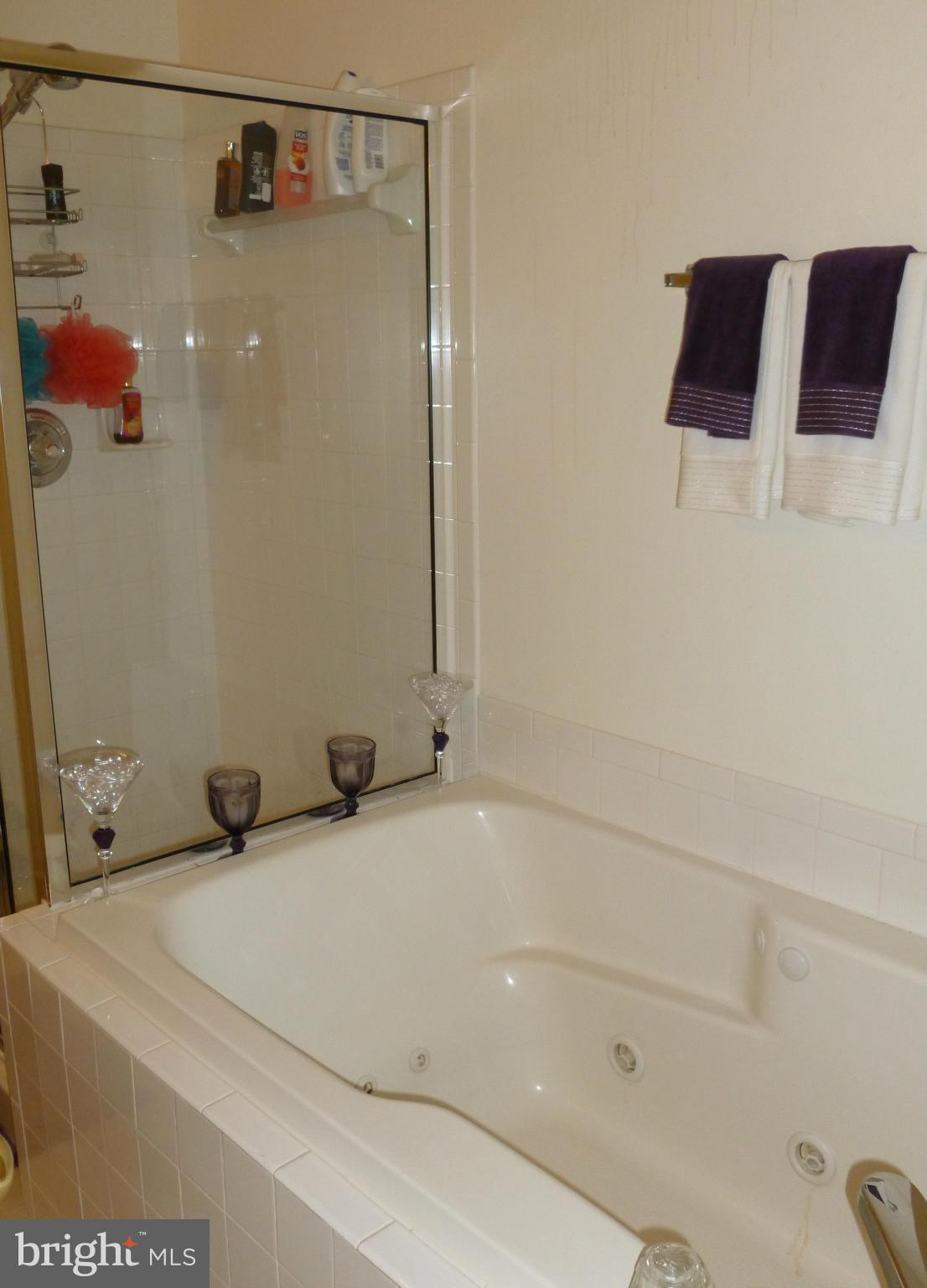 316 Roff Point Drive Odenton, MD 21113 - Photo 12 of 13 Bath (Master)