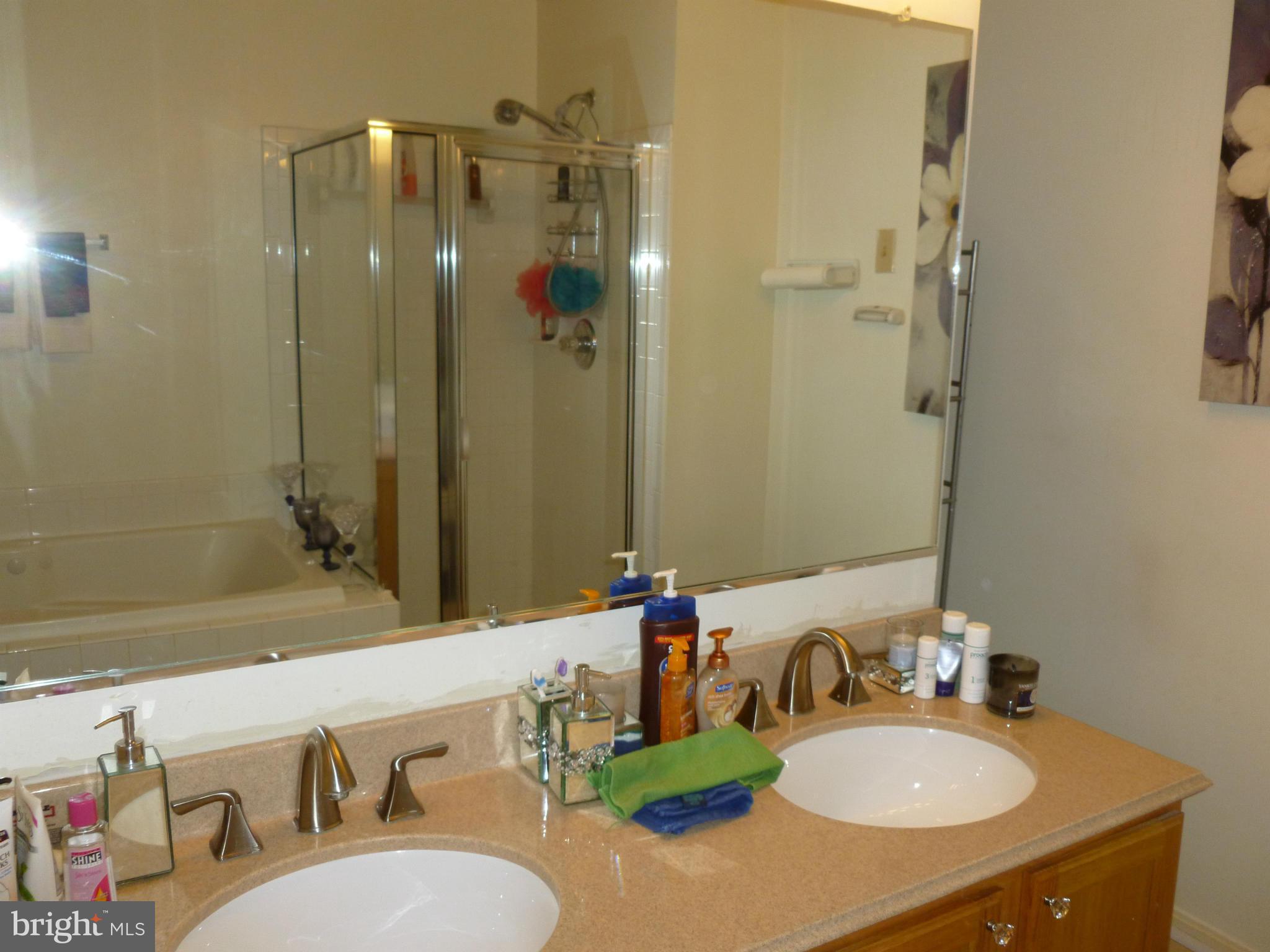 316 Roff Point Drive Odenton, MD 21113 - Photo 13 of 13 Bath (Master)