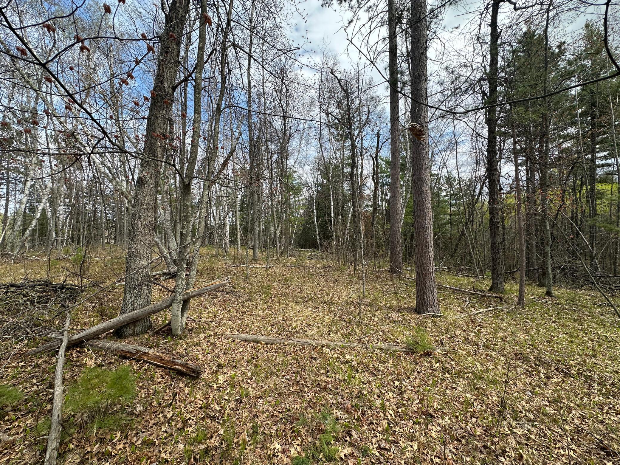 Tbd Dobosenski Road Sturgeon Lake, MN 55783 - Photo 15 of 22
