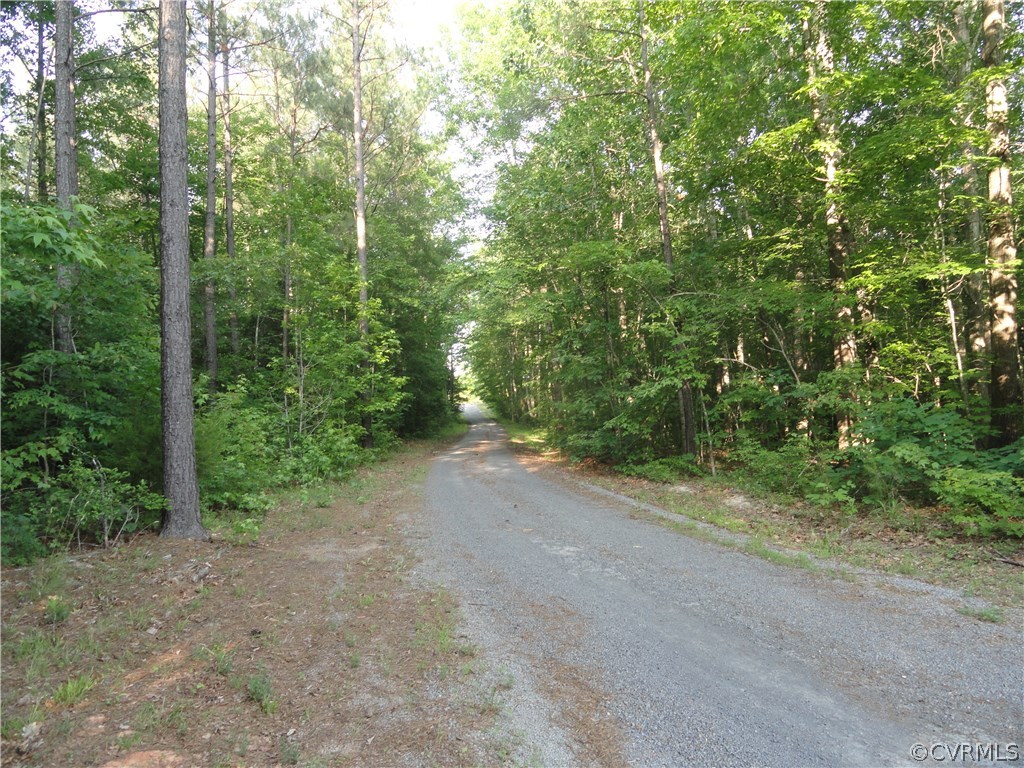 11170 Colemans Lake Road Ford, VA 23850 - Photo 16 of 23 Gallery Image 16