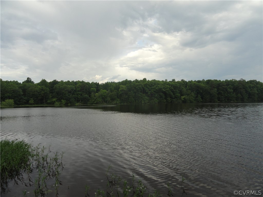 11170 Colemans Lake Road Ford, VA 23850 - Photo 21 of 23 Gallery Image 21