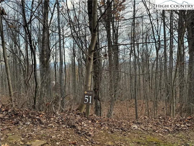 a view of a backyard of the house