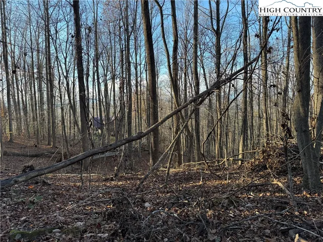 a view of backyard with wooden fence