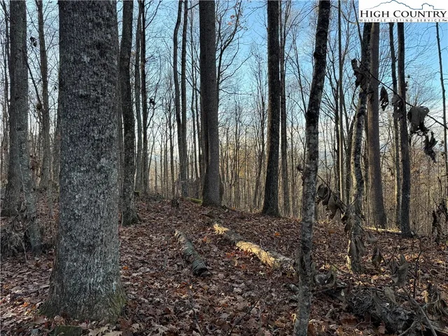 a view of a backyard of the house