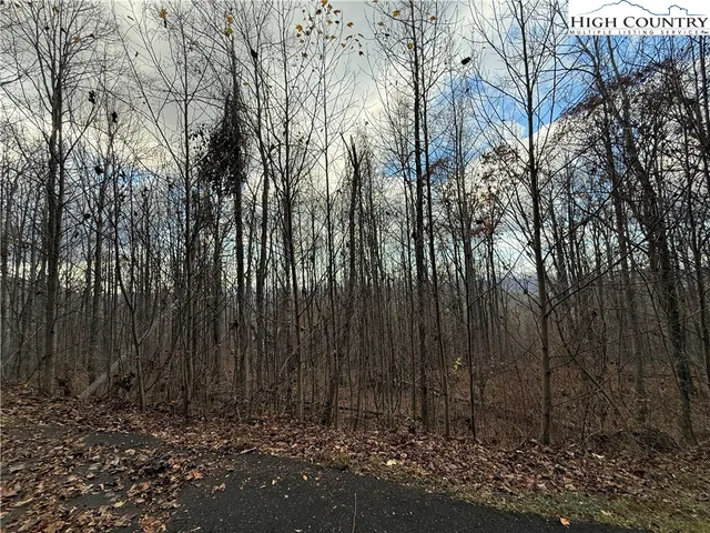 a view of backyard with tree