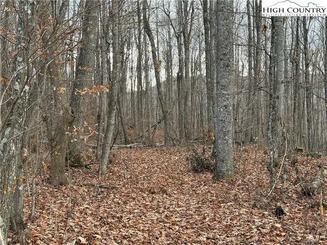 a view of a yard with trees