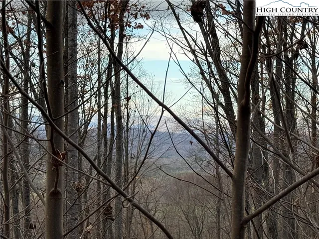 a yard with trees in the background