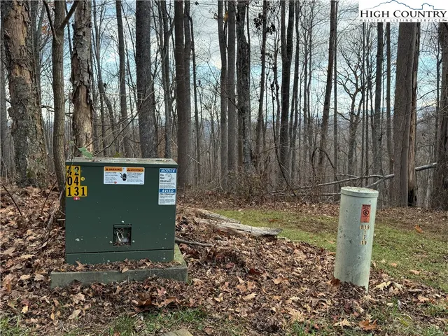 a view of a park with large trees
