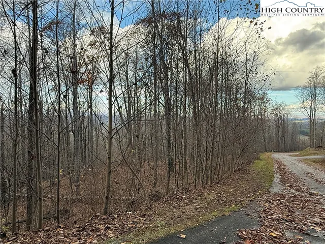 a view of a backyard of the house
