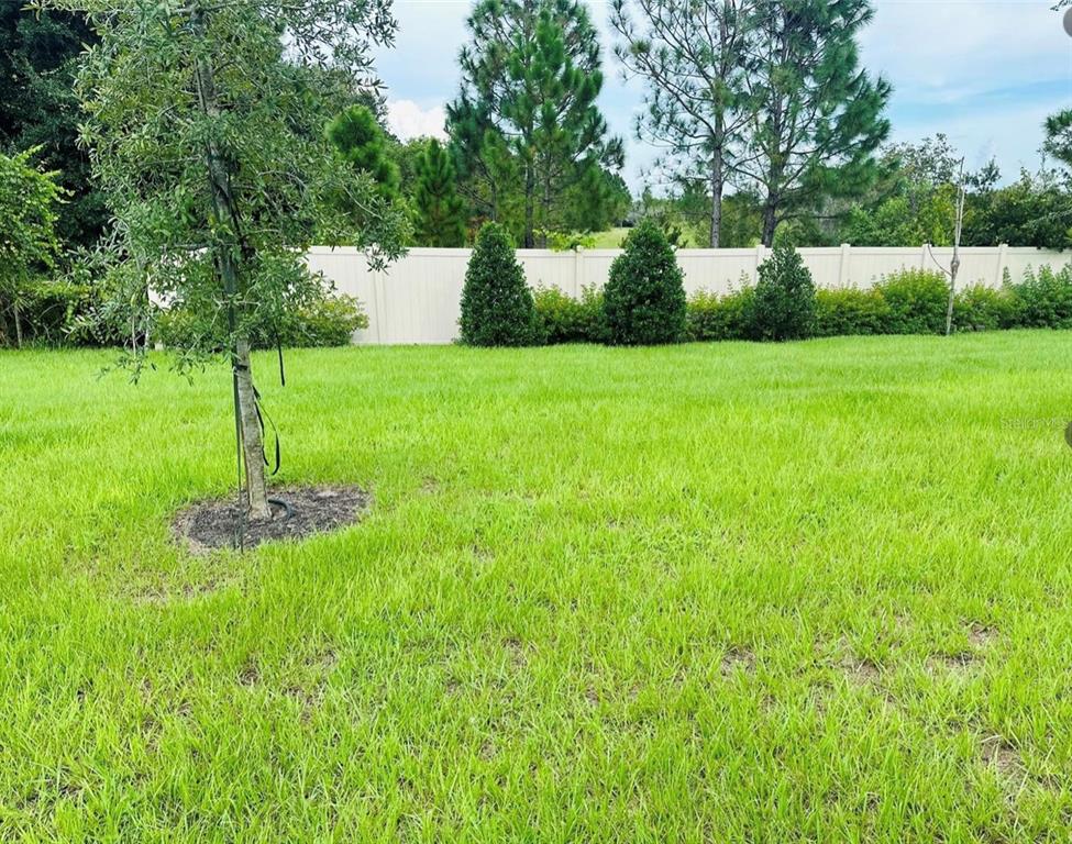 2895 Narcoossee Cmns Way St. Cloud, FL 34771 - Photo 10 of 10 a garden view