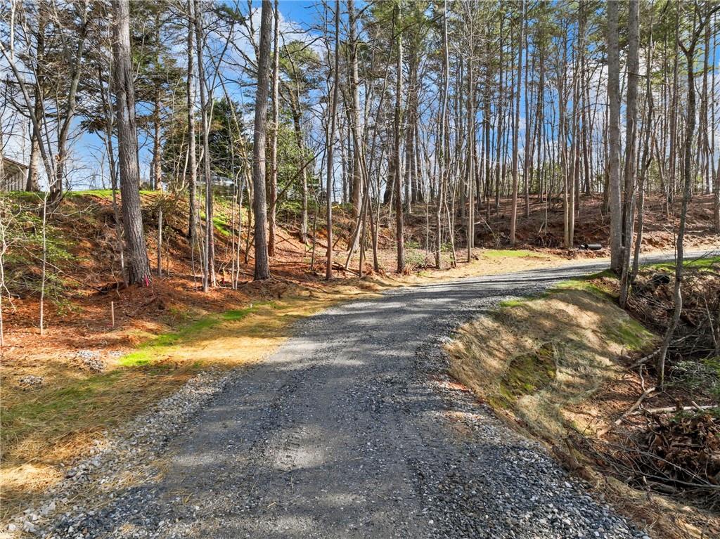 7676 Pea Ridge Road Lula, GA 30554 - Photo 37 of 45