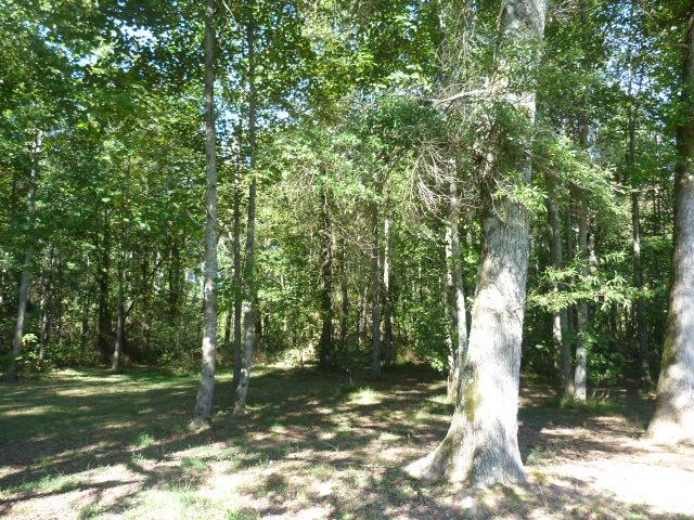 4829 Asbury Road Manchester, TN 37355 - Photo 24 of 29 a view of a tree in a yard