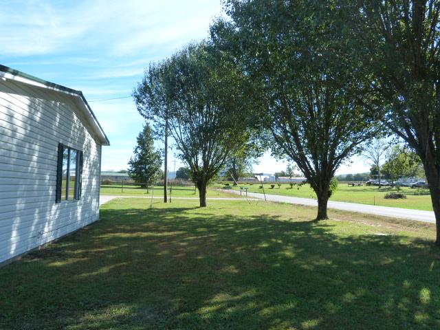 4829 Asbury Road Manchester, TN 37355 - Photo 7 of 29 a view of a big yard with a large tree