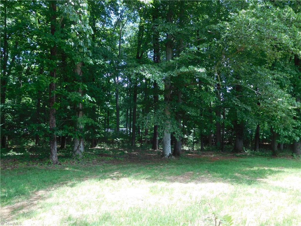 7805 Grapevine Road Lewisville, NC 27023 - Photo 39 of 45 PARTIALLY WOODED LOT.