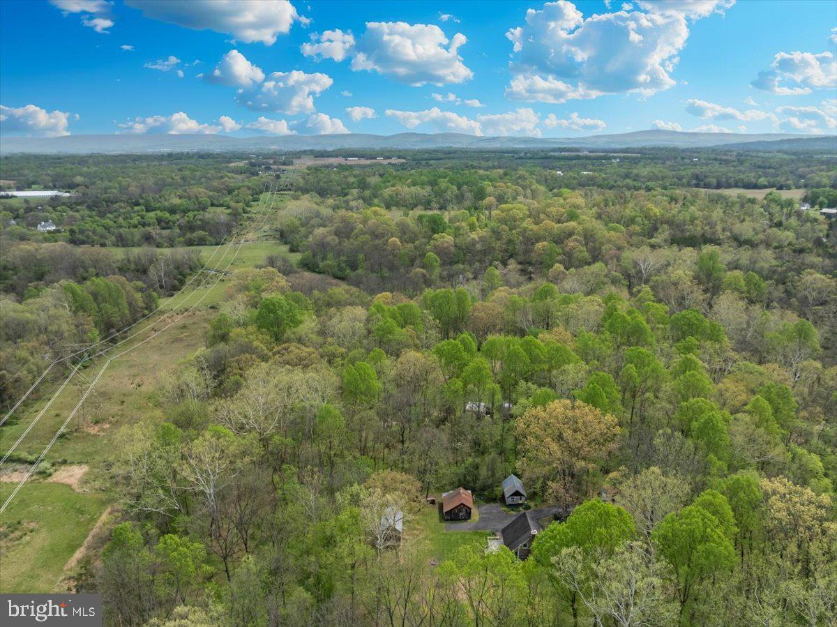16926 Sprecher Road Sharpsburg, MD 21782 - Photo 71 of 76 Serene woodland retreat awaits you.