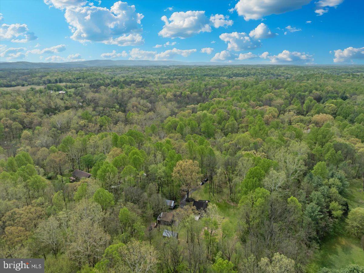 16926 Sprecher Road Sharpsburg, MD 21782 - Photo 72 of 76 Lush green landscape under blue skies.