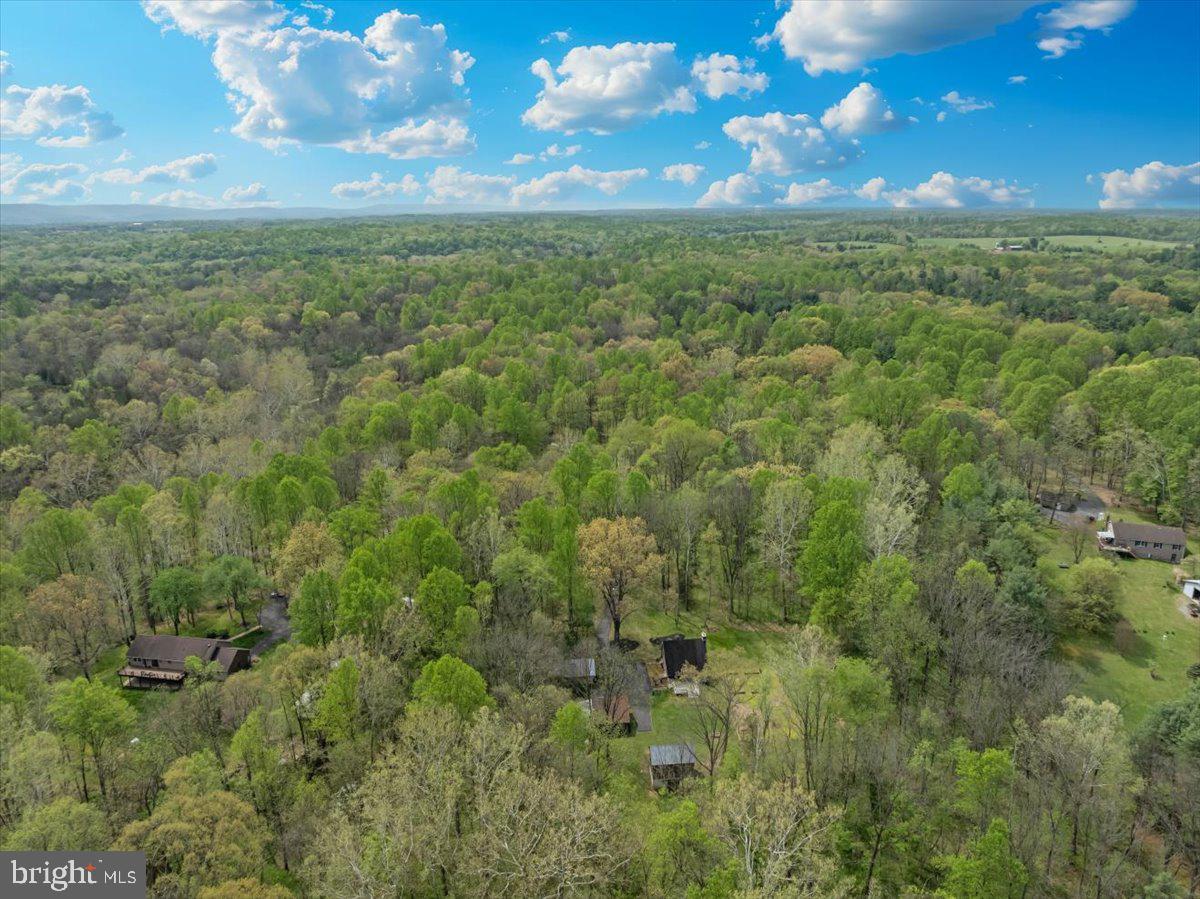 16926 Sprecher Road Sharpsburg, MD 21782 - Photo 73 of 76 Serene woodland retreat awaits you.