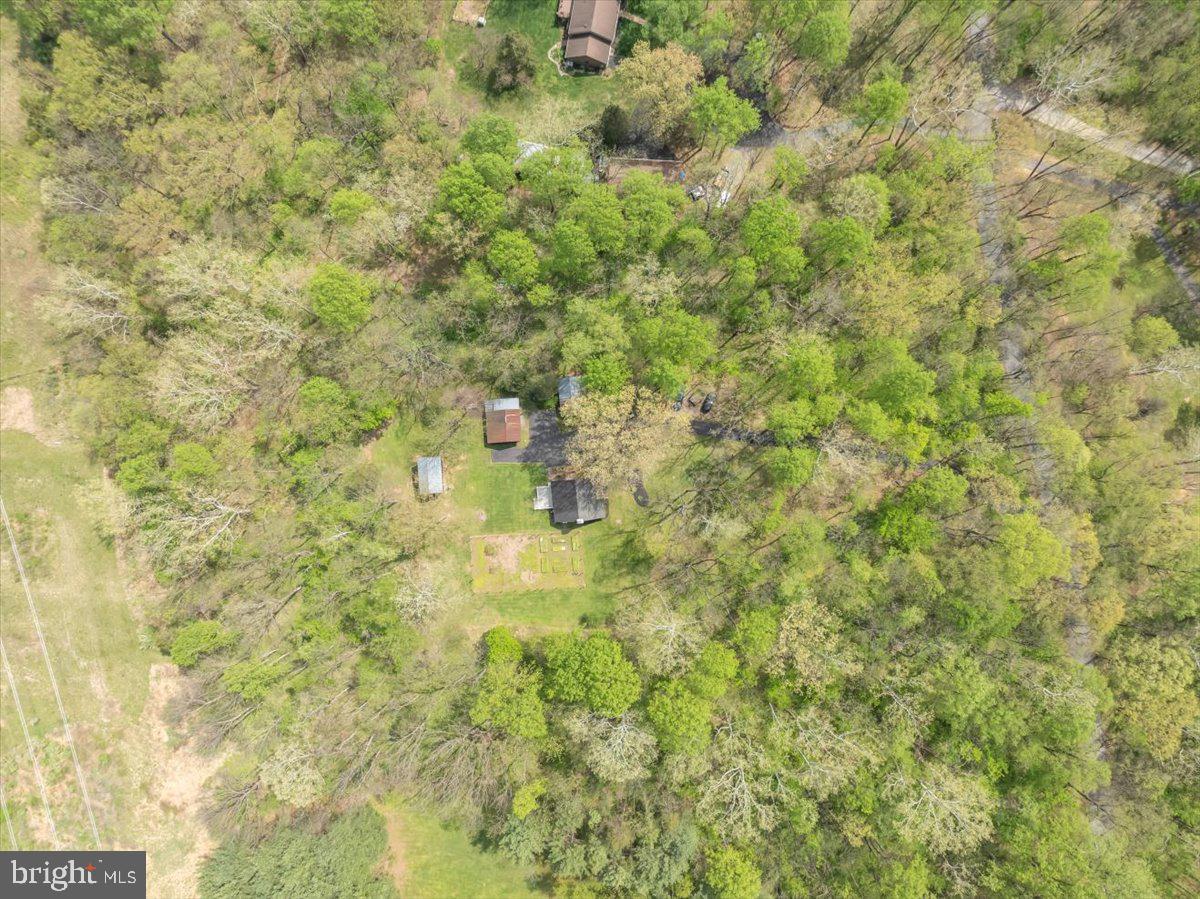 16926 Sprecher Road Sharpsburg, MD 21782 - Photo 75 of 76 Serene woodland retreat awaits you.