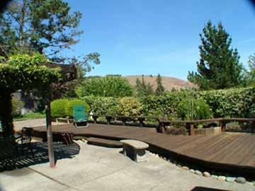 16 Azalea Drive Mill Valley, CA 94941 - Photo 3 of 9 a view of a terrace with a bench