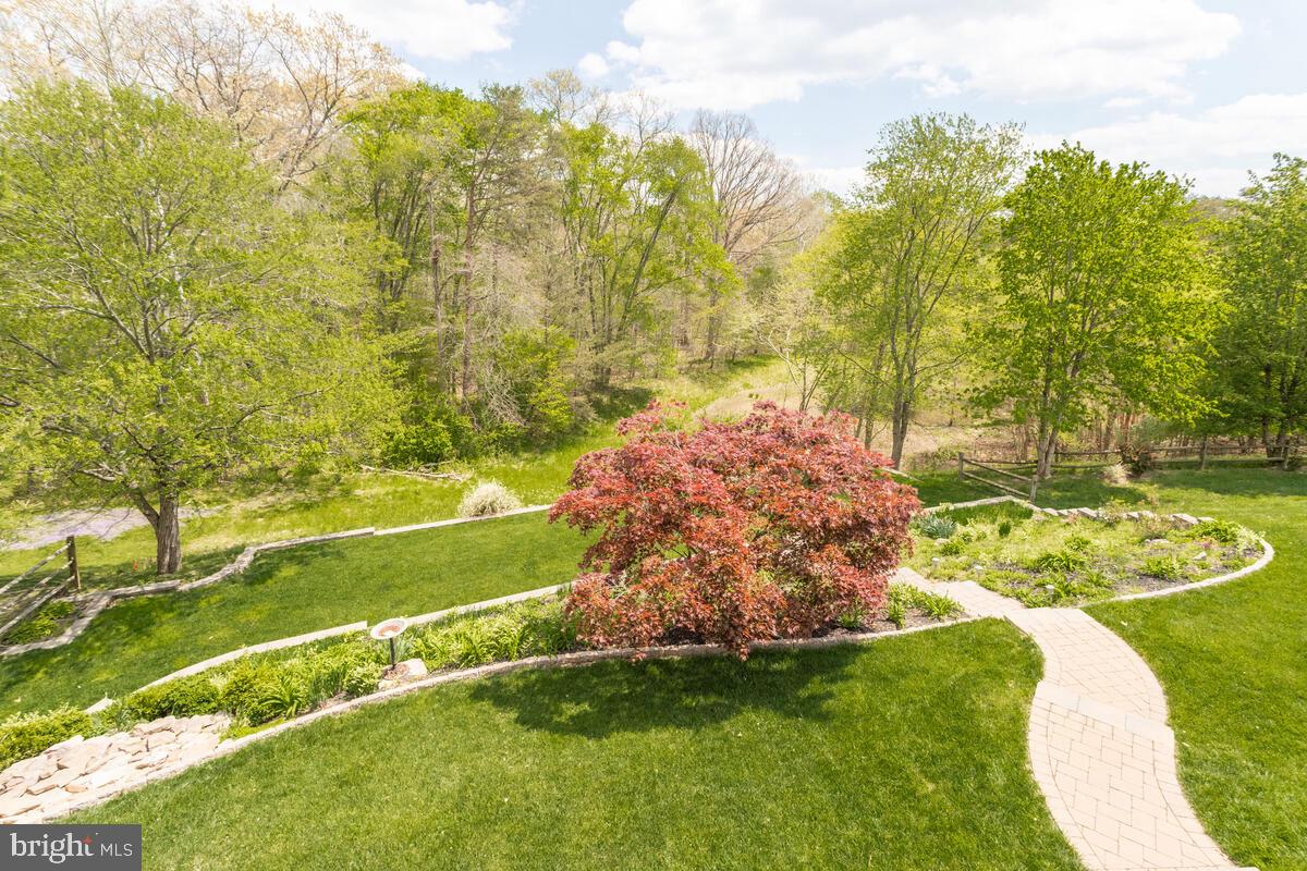 6456 Skipton Drive Hanover, MD 21076 - Photo 63 of 75 So much beauty, bird watching anyone?