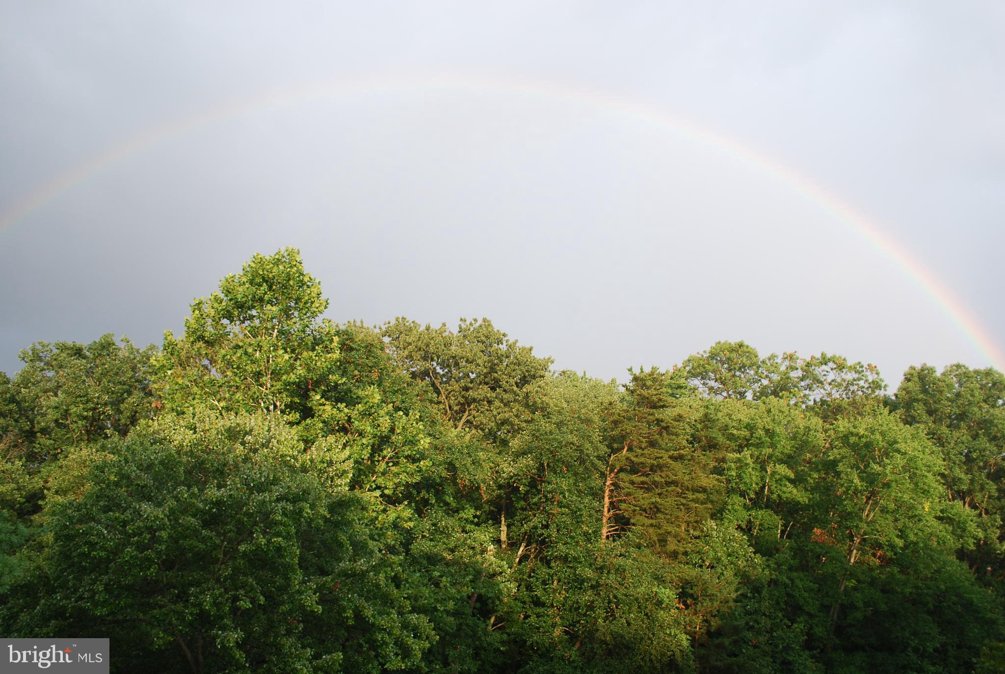 6456 Skipton Drive Hanover, MD 21076 - Photo 71 of 75 Back yard view