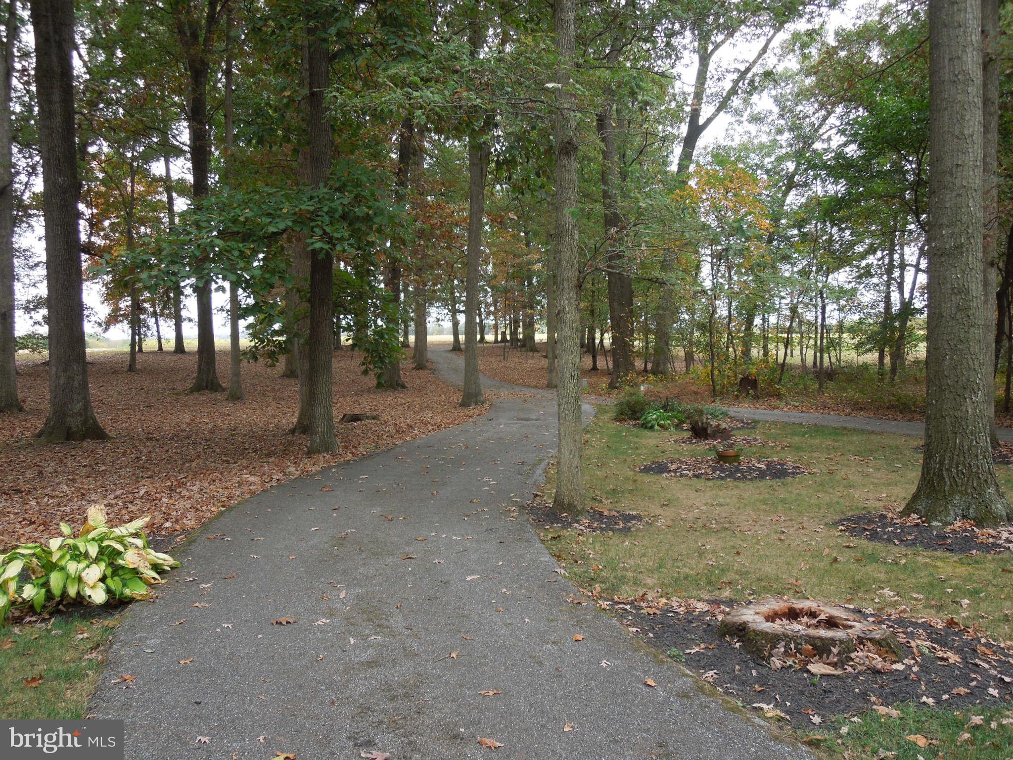 295 Bucher John Road Union Bridge, MD 21791 - Photo 8 of 30 Winding Asphalt Driveway