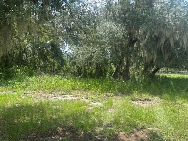 0 Old Stokes Road Frostproof, FL 33843 - Photo 1 of 8 2