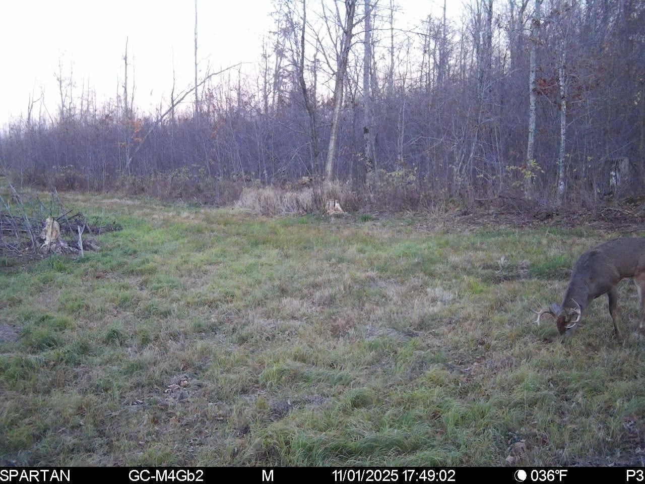 On On Cth H, Unit 80ACRES Radisson, WI 54867 - Photo 29 of 34 Gallery Image 29