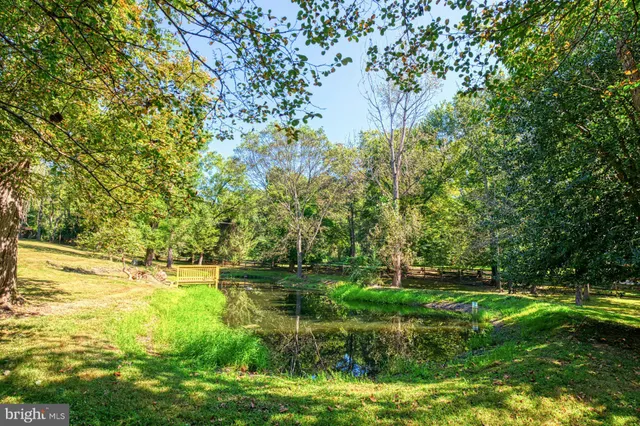 a view of a house with a yard plants and large tree