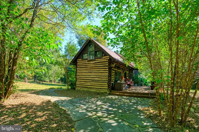 a view of a park with large trees
