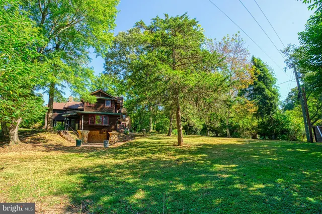 a view of a park with a tree