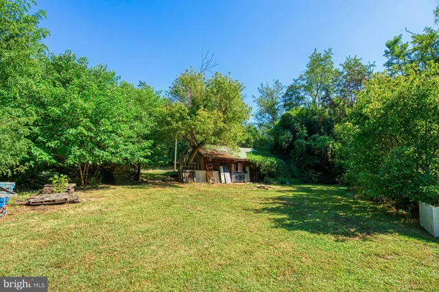 a view of a green field with lots of bushes