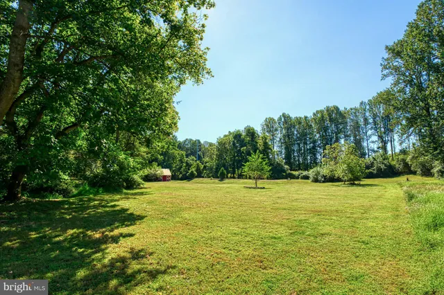 a view of a trees with a yard